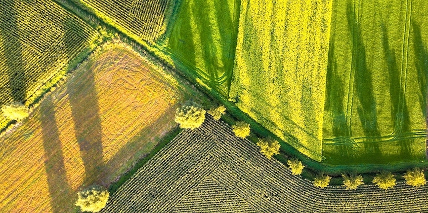 Agriculture carbon projects