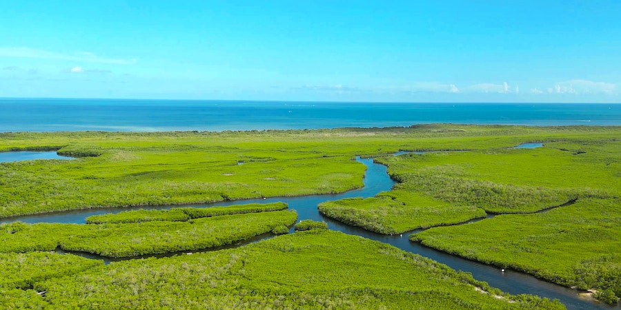 Blue carbon projects